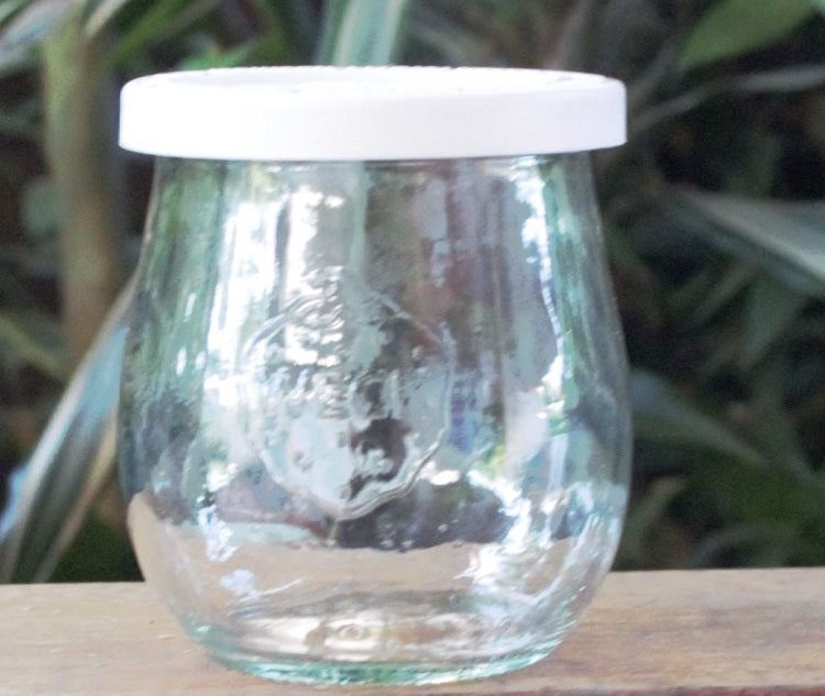 1 x 220ml Mini Tulip Jar with WHITE STORAGE LID