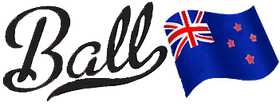 Ballmason NZ